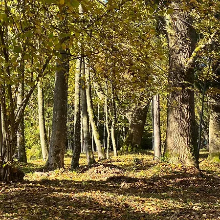 度假居 Maly Beskidy *